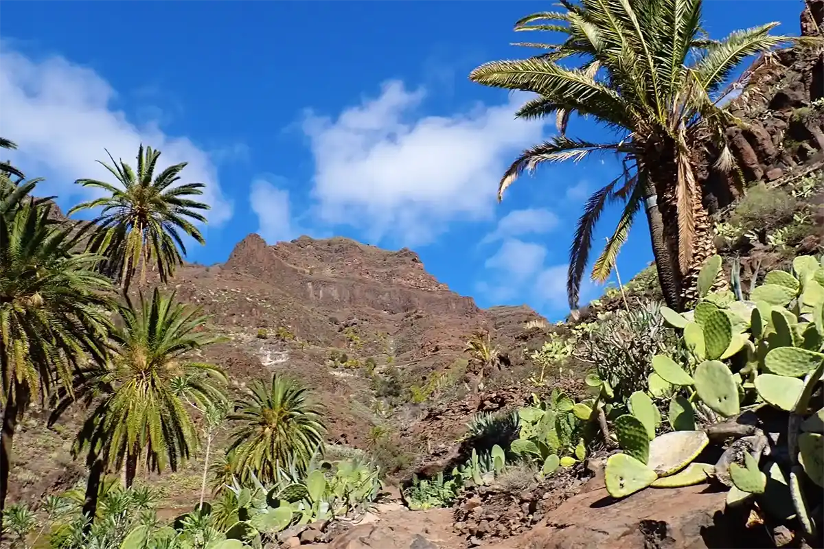 La Gomera desde Tenerife - Foto 13