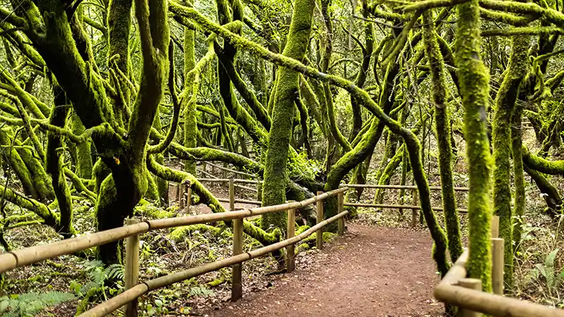 La Gomera