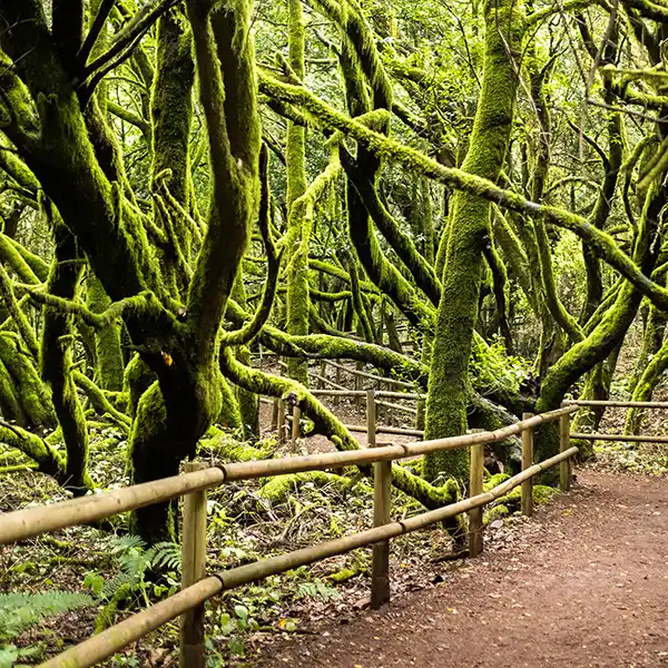 La Gomera