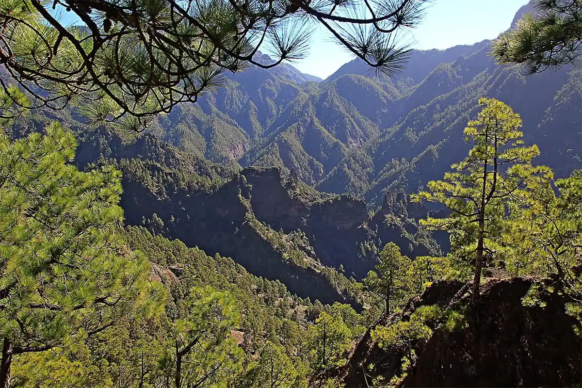 La Palma ab Teneriffa - Foto 11