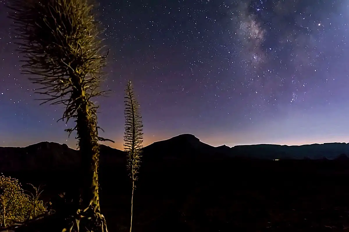 Teide Noche con Cena y Observación de Estrellas - Foto 1
