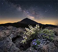 Miniatura 12 - Teide Noche con Cena y Observación de Estrellas