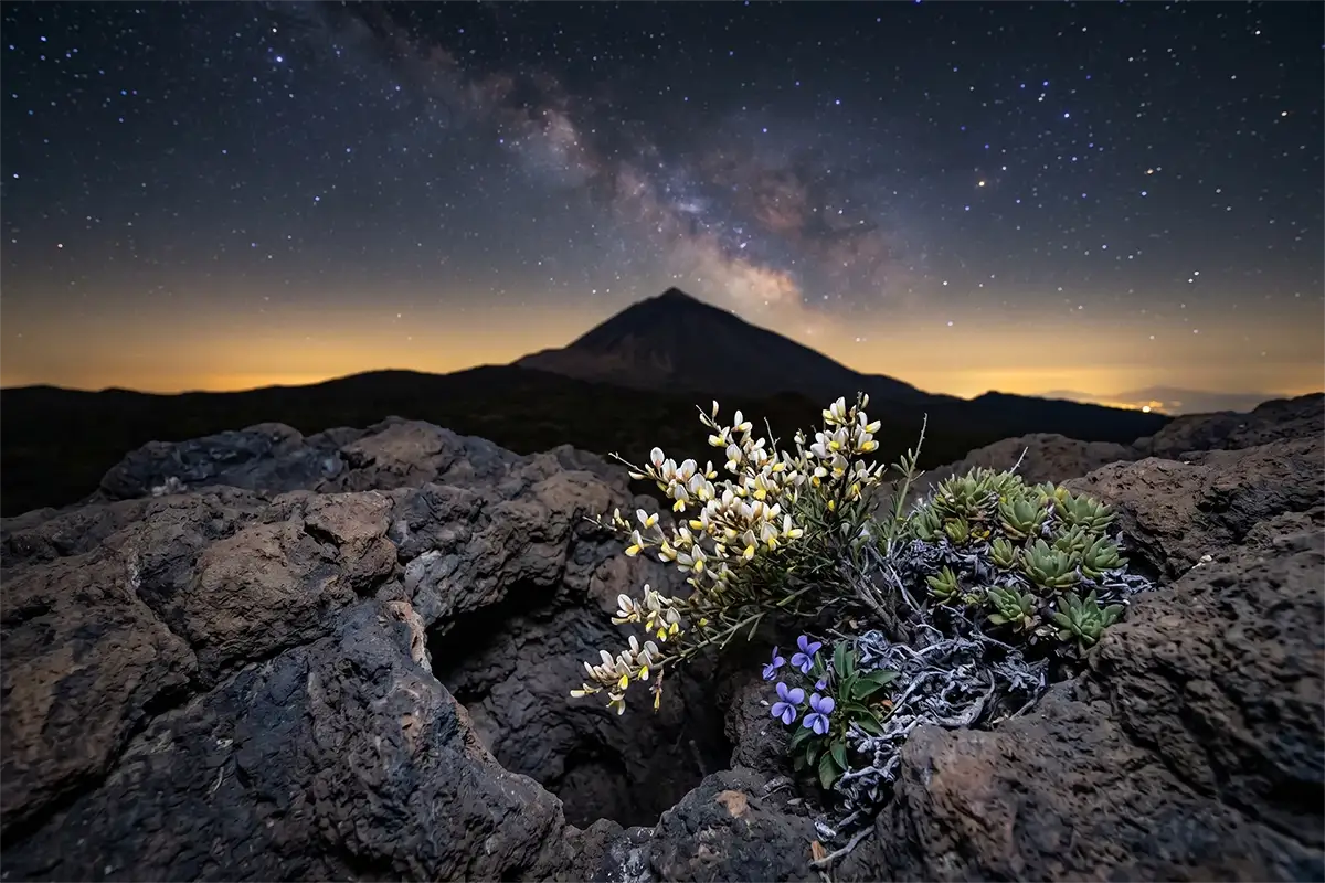 Teide Noche con Cena y Observación de Estrellas - Foto 12