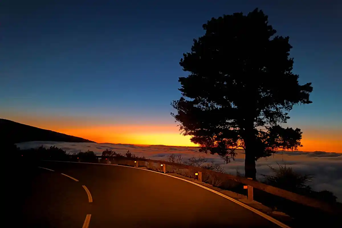 Teide et Étoiles avec Dîner au Guachinche et Cava - Foto 11