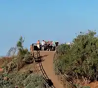 Miniature 16 - Teide et Étoiles avec Dîner au Guachinche et Cava