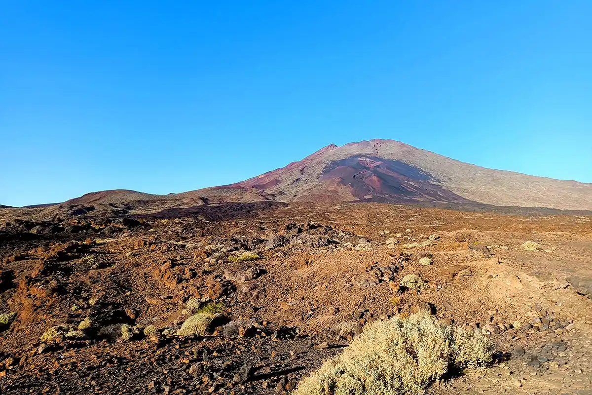 Teide et Étoiles avec Dîner au Guachinche et Cava - Foto 2