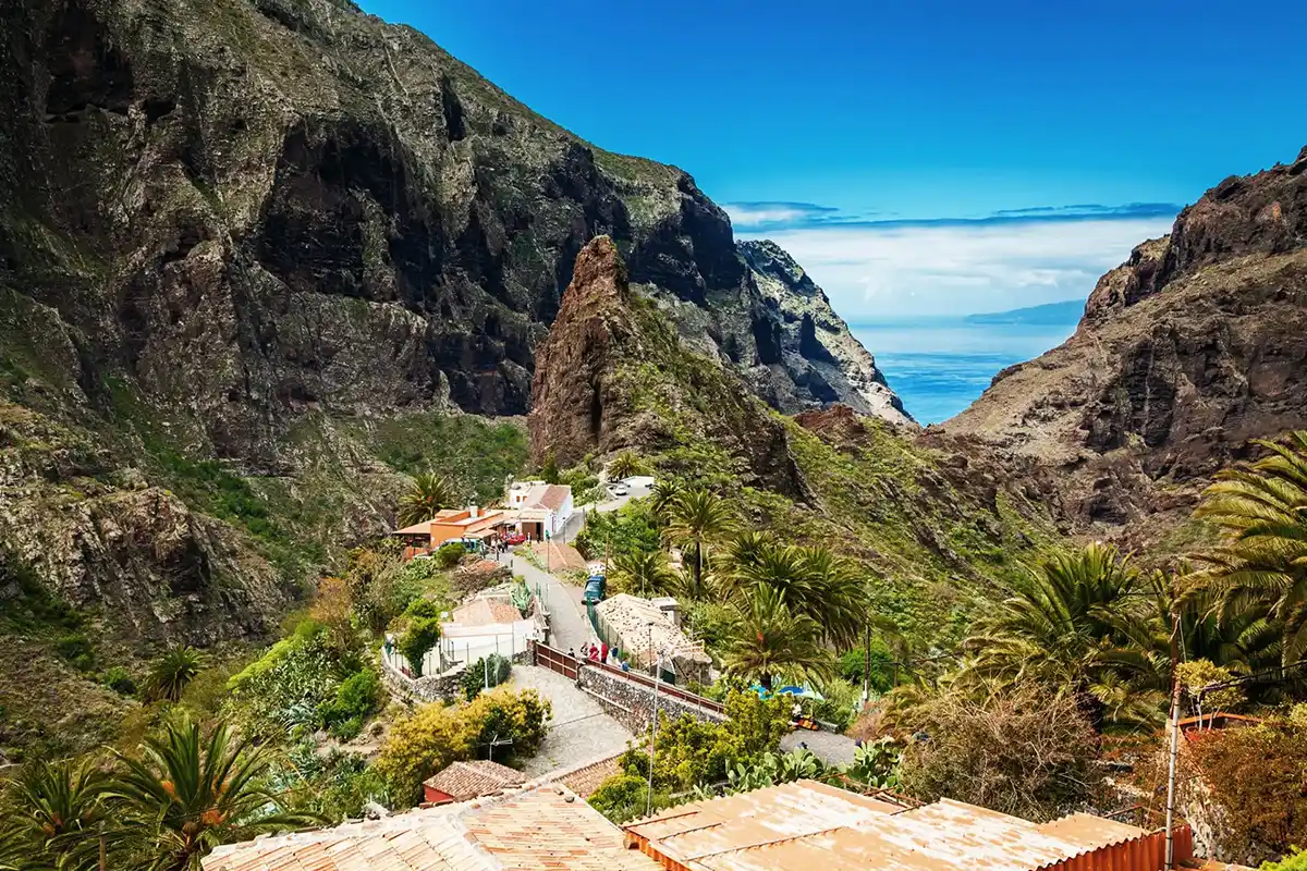 Teide, Masca, Garachico e Icod - Foto 14