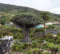 Miniatura 4 - Teide, Masca, Garachico e Icod