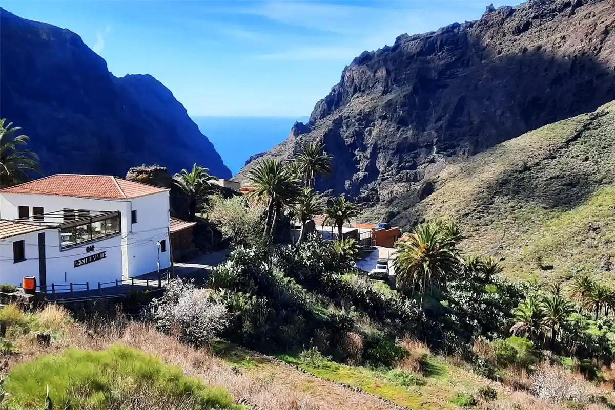 Teide, Masca, Garachico e Icod - Foto 8