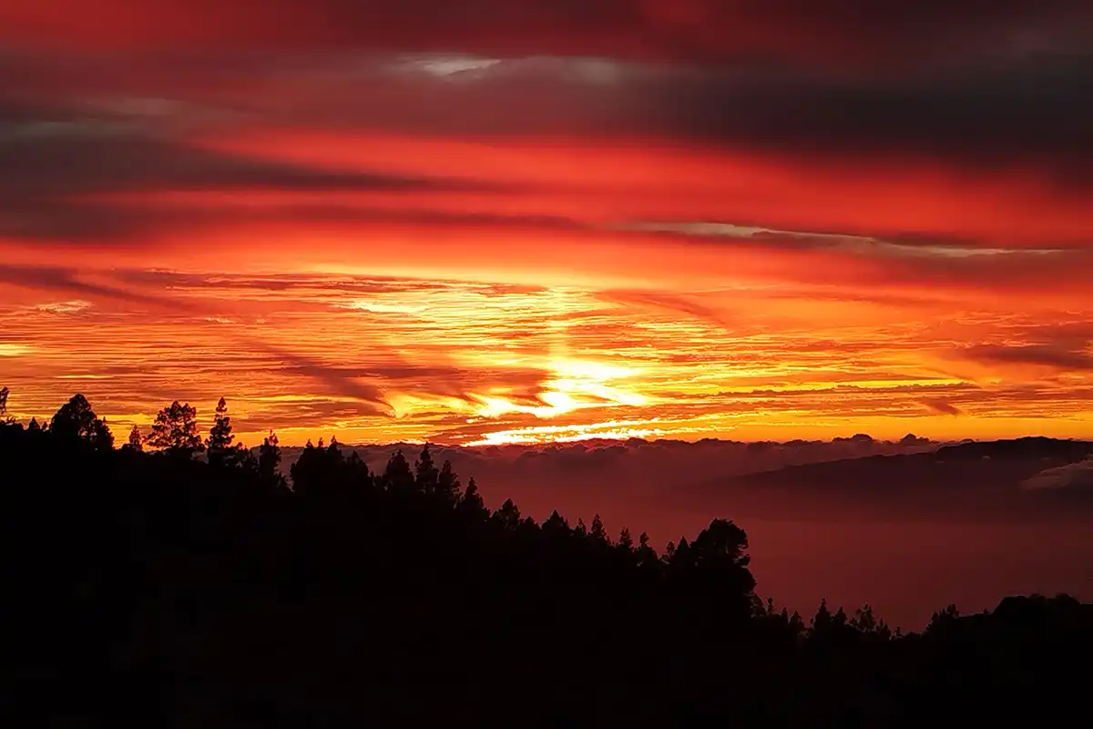 Teide, Masca y&nbsp;Garachico con&nbsp;Puesta de&nbsp;Sol y&nbsp;Cava - Foto 10