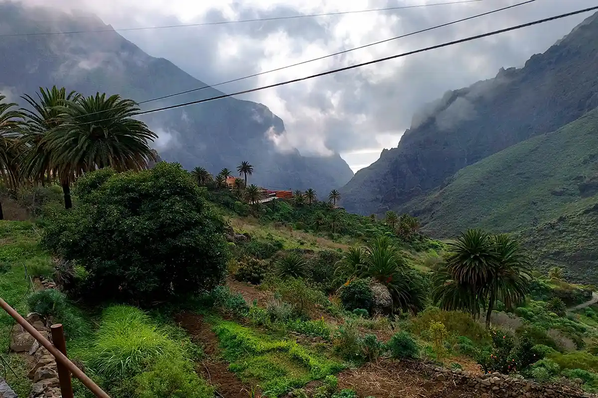 Teide, Masca y&nbsp;Garachico con&nbsp;Puesta de&nbsp;Sol y&nbsp;Cava - Foto 16