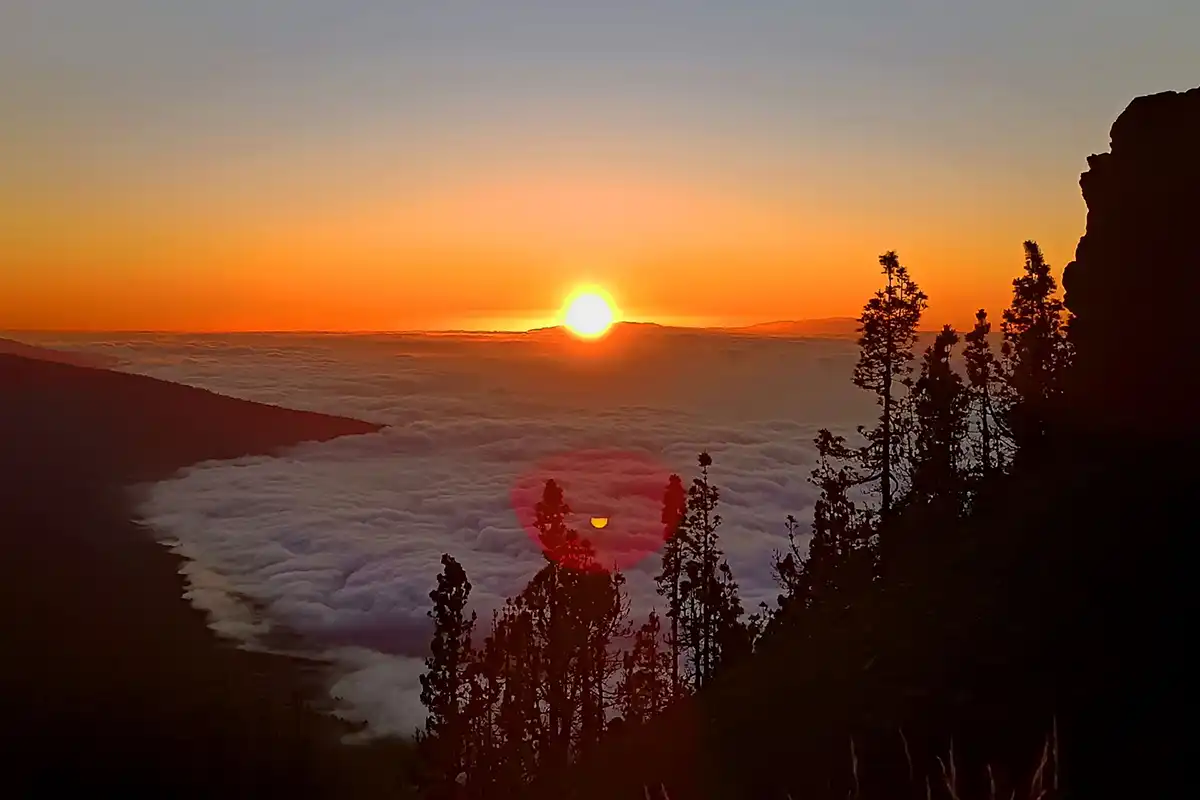 Teide, Masca y&nbsp;Garachico con&nbsp;Puesta de&nbsp;Sol y&nbsp;Cava - Foto 20