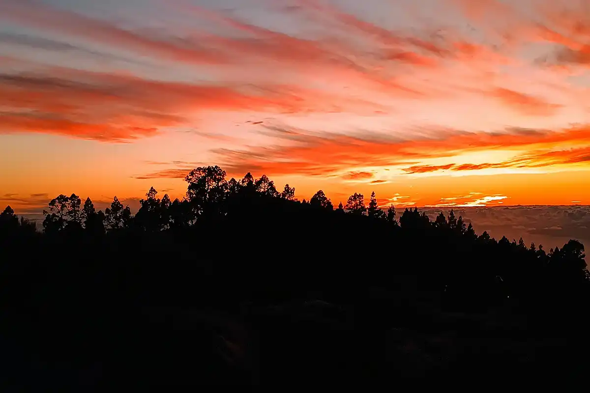 Teide, Masca y&nbsp;Garachico con&nbsp;Puesta de&nbsp;Sol y&nbsp;Cava - Foto 25