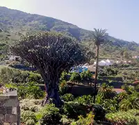 Miniatura 3 - Teide, Masca y&nbsp;Garachico con&nbsp;Puesta de&nbsp;Sol y&nbsp;Cava
