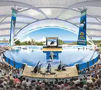 Vorschaubild 1 - Loro Parque