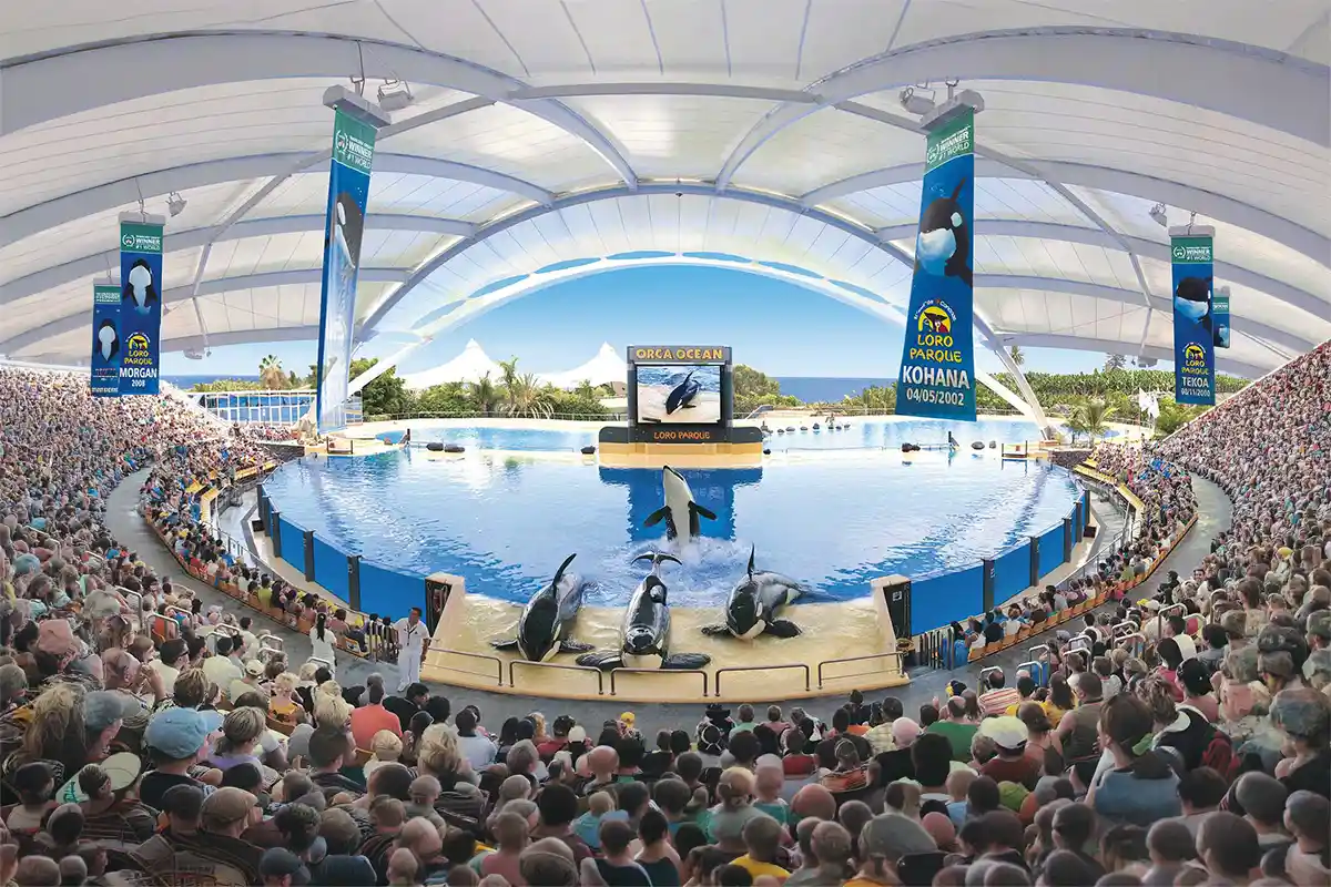 Loro Parque - Foto 1