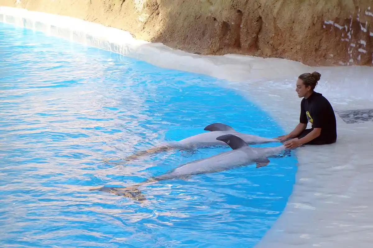 Loro Parque - Foto 10