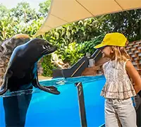 Vorschaubild 13 - Loro Parque
