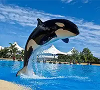 Vorschaubild 15 - Loro Parque