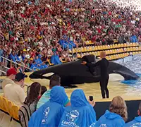 Vorschaubild 2 - Loro Parque