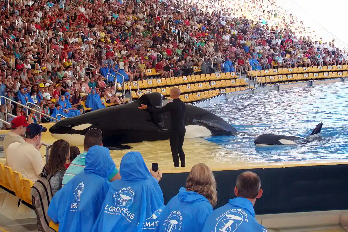 Loro Parque - Foto 2