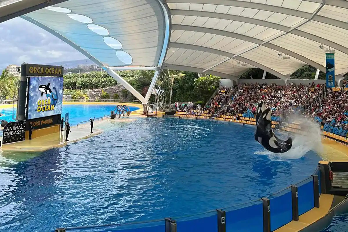 Loro Parque - Foto 24