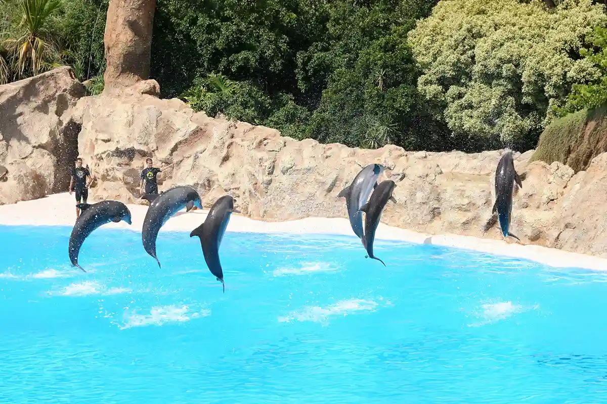 Loro Parque - Foto 26