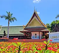 Vorschaubild 28 - Loro Parque