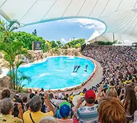 Vorschaubild 3 - Loro Parque