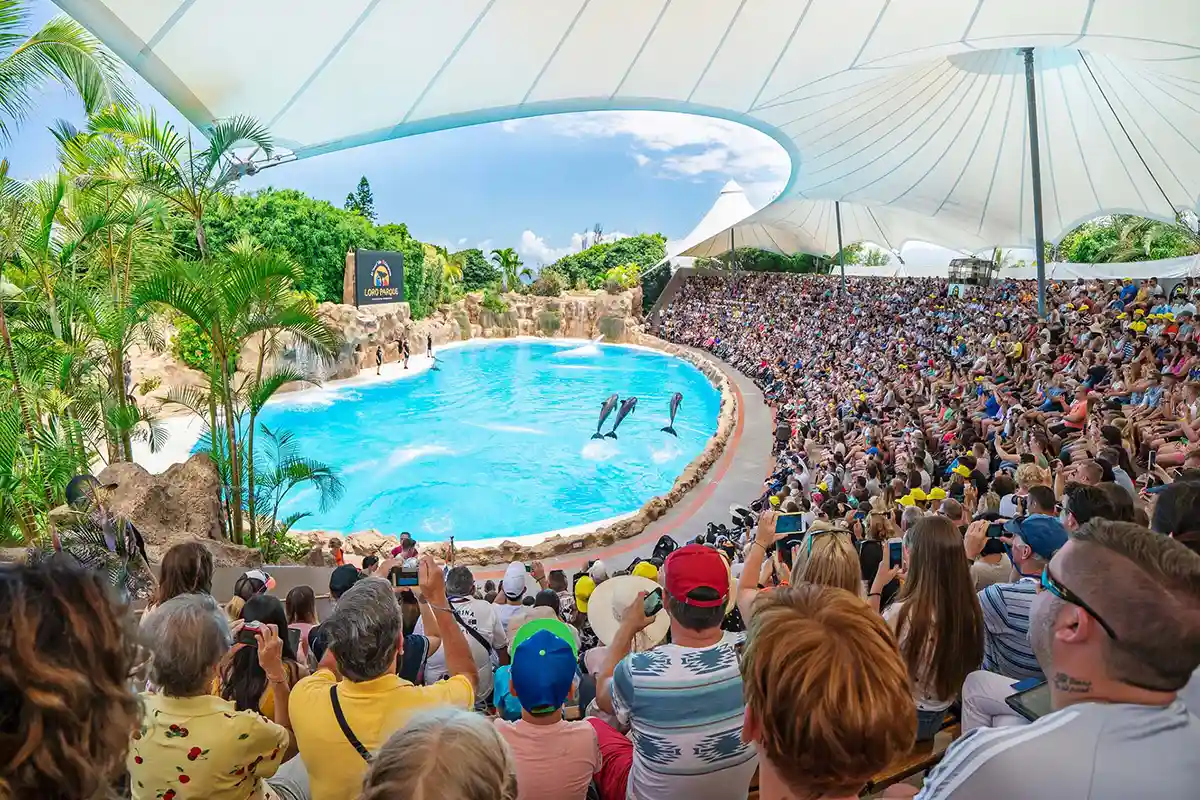 Loro Parque - Foto 3