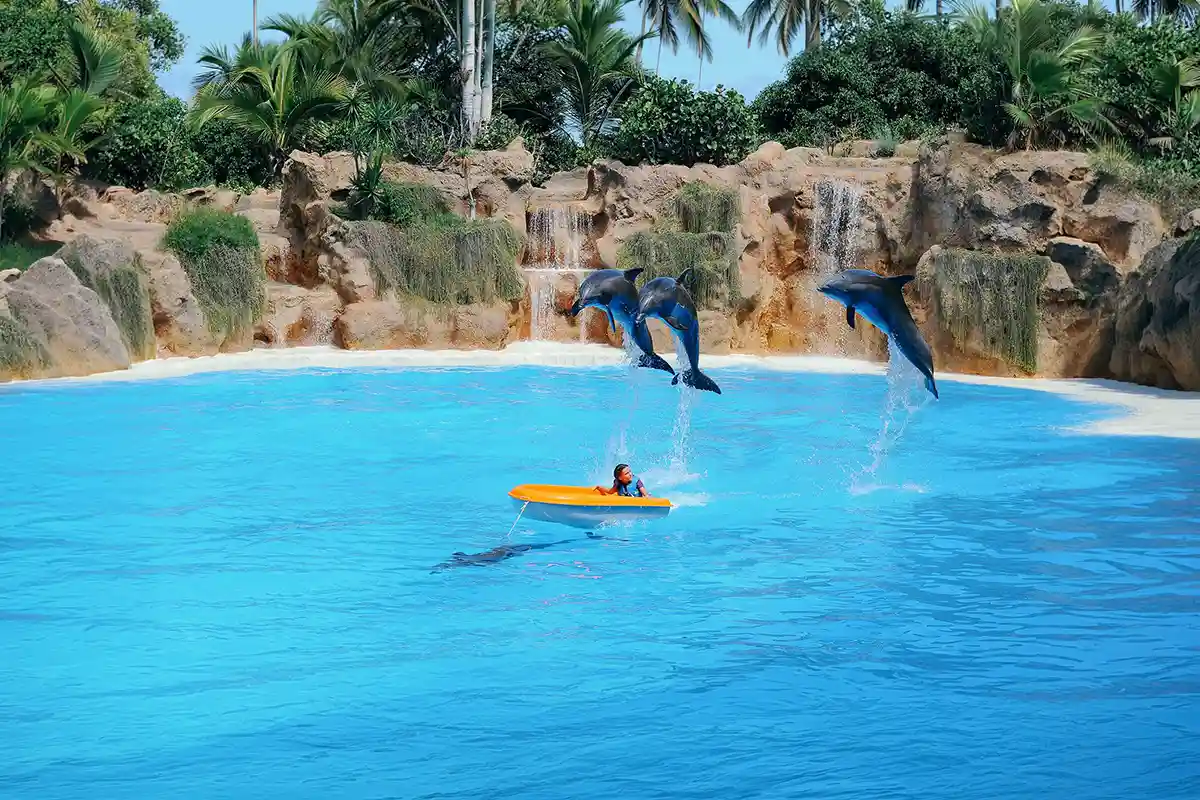 Loro Parque - Foto 5