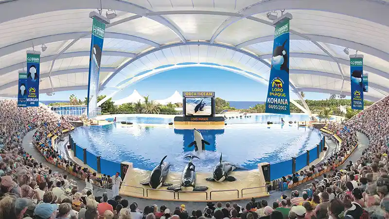 Billets Loro Parque