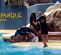 Miniature 13 - Twin Ticket : Loro Parque et Siam Park