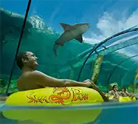 Miniature 14 - Twin Ticket : Loro Parque et Siam Park