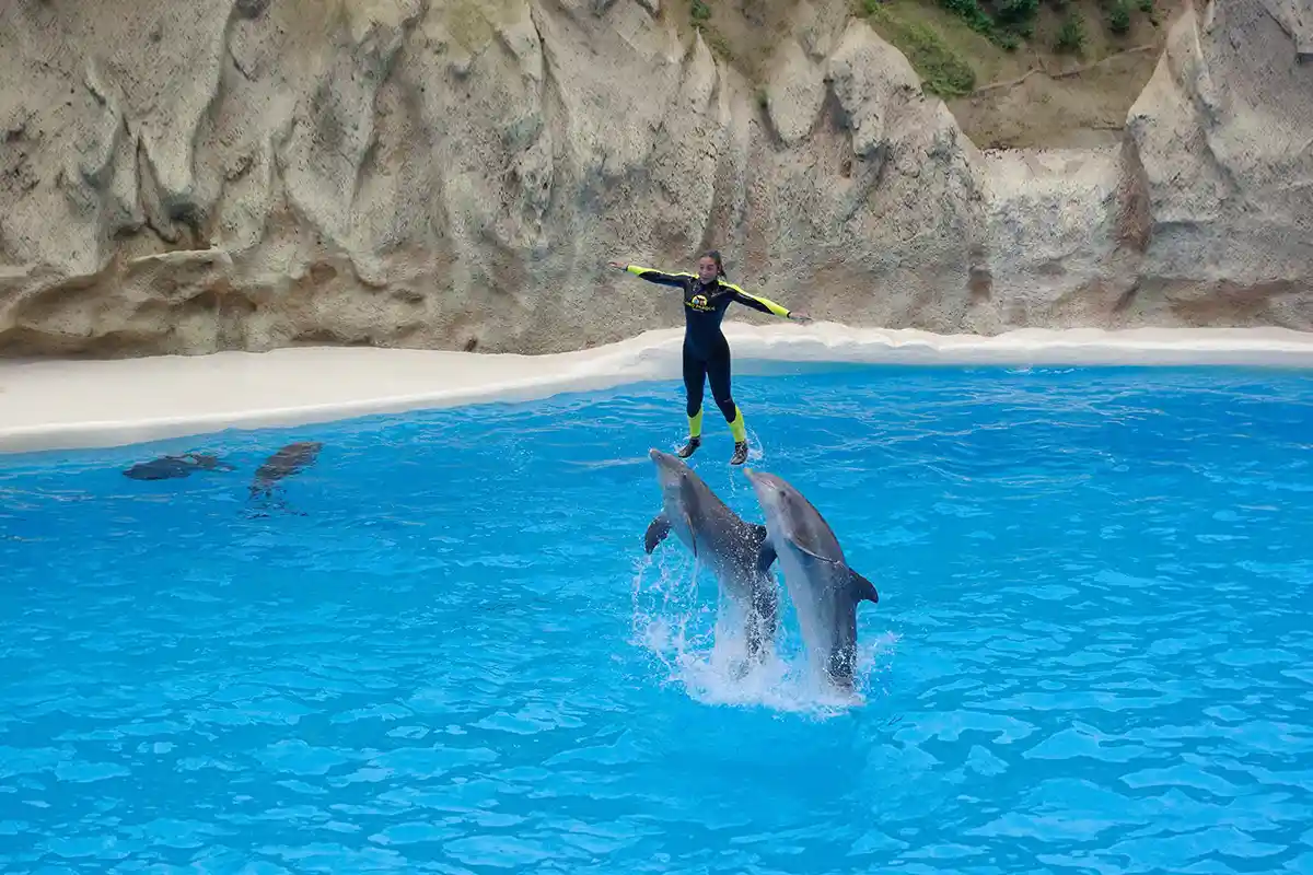 Twin Ticket : Loro Parque et Siam Park - Foto 4