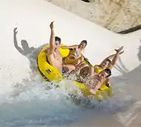 Miniature 8 - Twin Ticket : Loro Parque et Siam Park