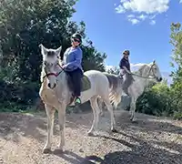 Vorschaubild 1 - Ausritt (1 Stunde) im Norden Teneriffas