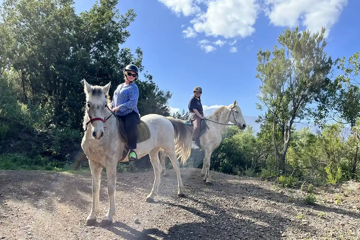 Ausritt (1 Stunde) im Norden Teneriffas - Foto 1