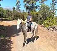 Vorschaubild 3 - Ausritt (1 Stunde) im Norden Teneriffas