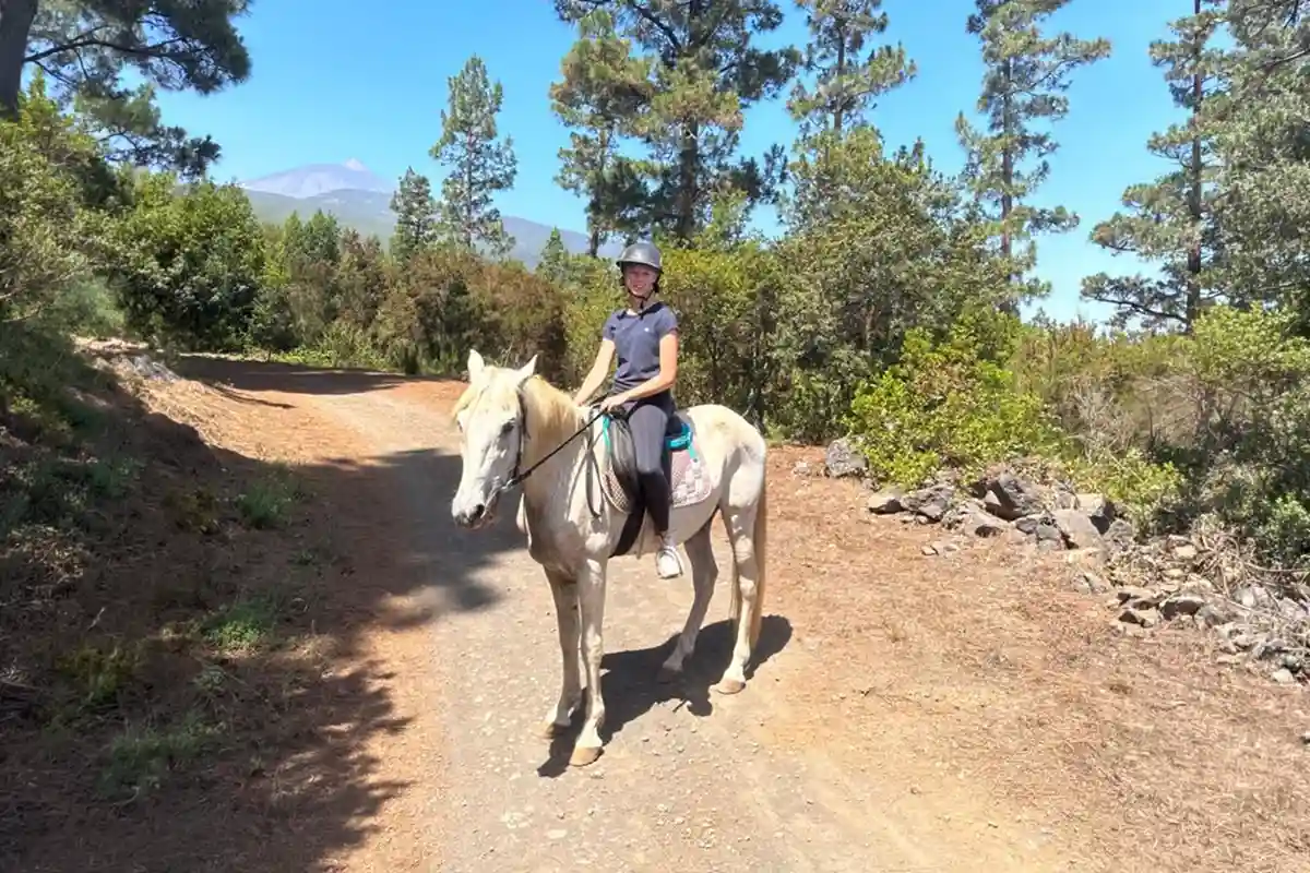 Ausritt (1 Stunde) im Norden Teneriffas - Foto 3