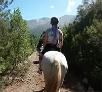 Vorschaubild 6 - Ausritt (1 Stunde) im Norden Teneriffas