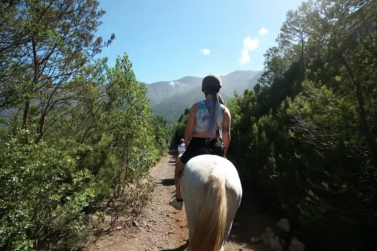 Ausritt (1 Stunde) im Norden Teneriffas - Foto 6