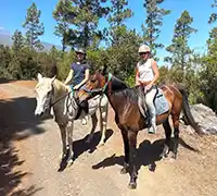 Thumbnail 1 - 2-Hour Horseback Riding in North Tenerife