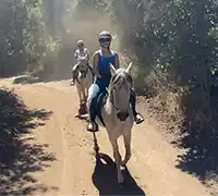 Thumbnail 2 - 2-Hour Horseback Riding in North Tenerife