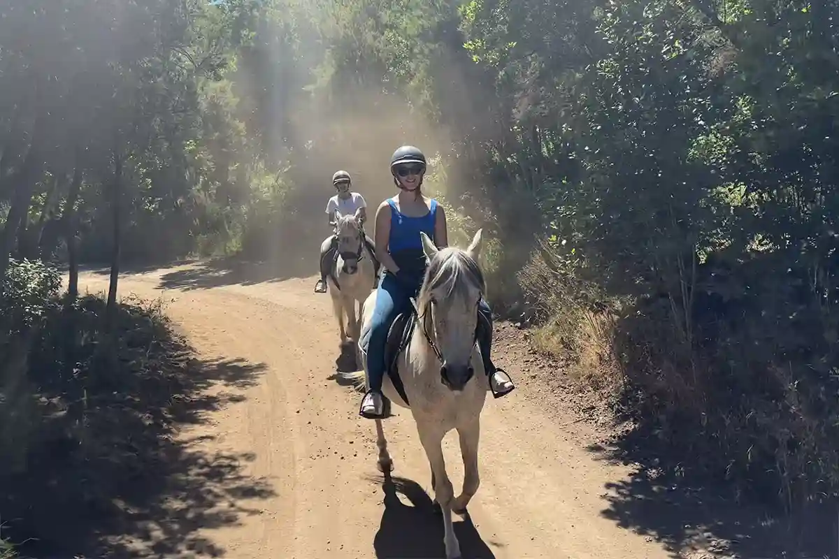 2-Hour Horseback Riding in North Tenerife - Foto 2