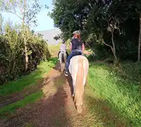 Thumbnail 3 - 2-Hour Horseback Riding in North Tenerife