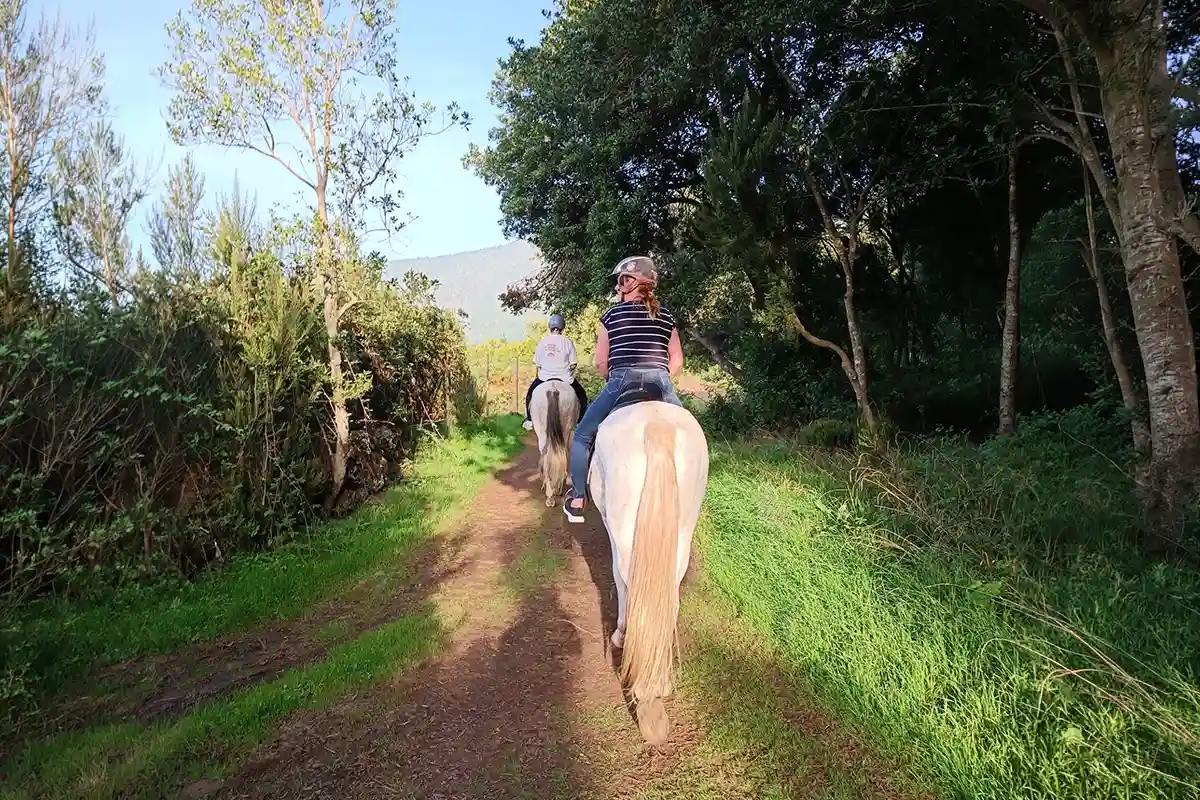 2-Hour Horseback Riding in North Tenerife - Foto 3