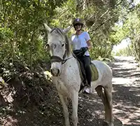 Thumbnail 4 - 2-Hour Horseback Riding in North Tenerife