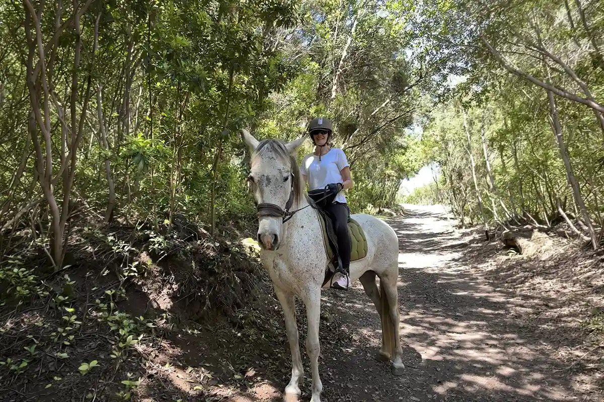 2-Hour Horseback Riding in North Tenerife - Foto 4