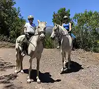 Vorschaubild 1 - Ausritt im Norden Teneriffas